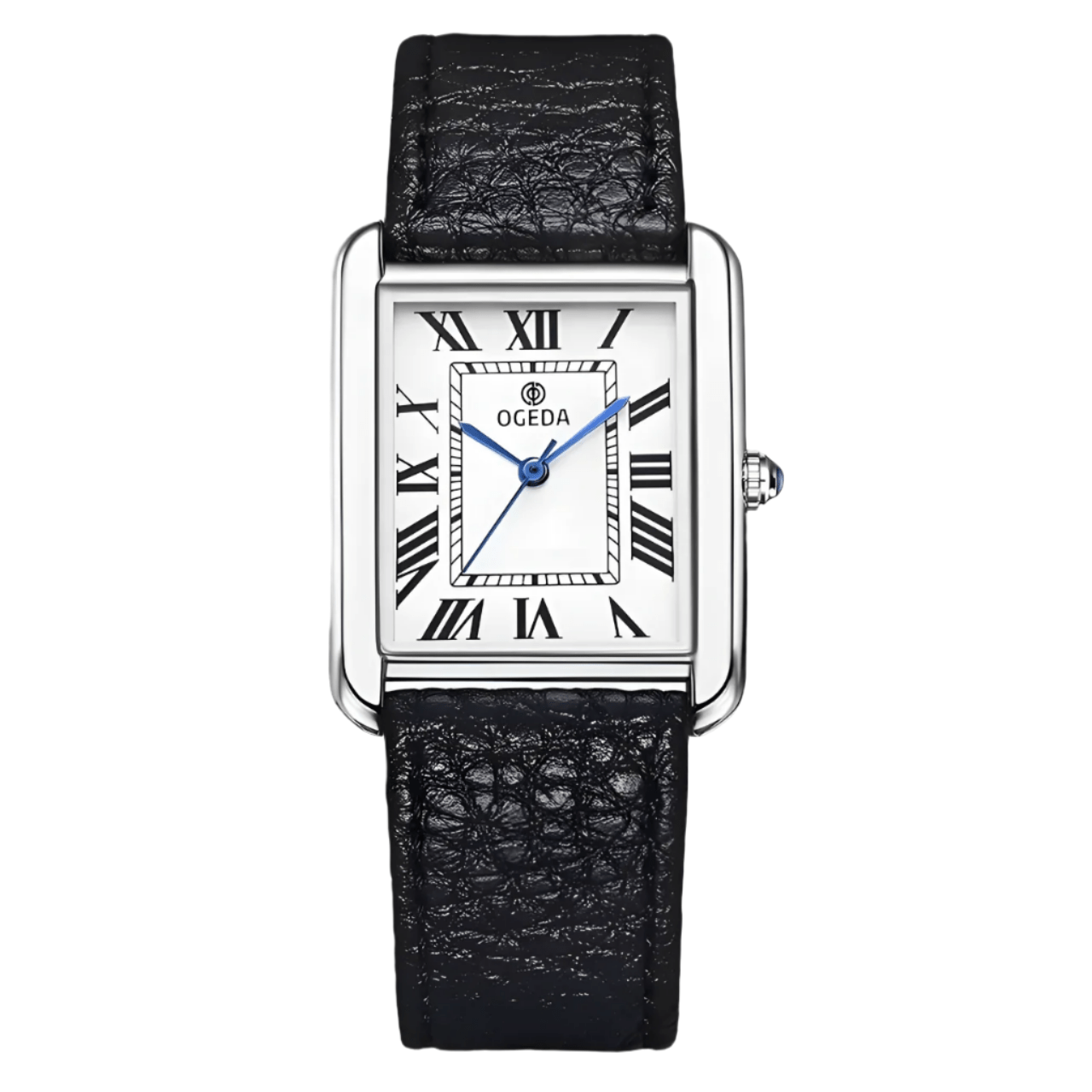 OGEDA - Sergio Cavelli