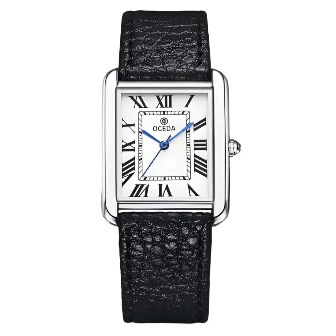 OGEDA - Sergio Cavelli